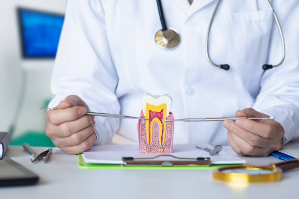 Best Emergency Dental Care for Abscessed Tooth in Brentwood, TN